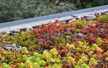the cost of Ashurst Bridge green roof installation