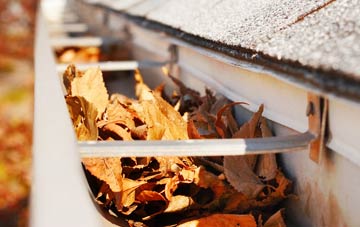 Ashurst Bridge gutter cleaning companies