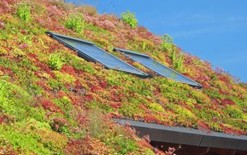Ashurst Bridge living roof systems