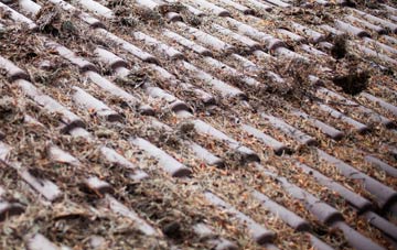 Ashurst Bridge roof cleaning companies