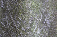 Ashurst Bridge fibreglass roof work